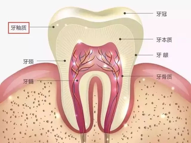 牙齿修复 牙齿修复